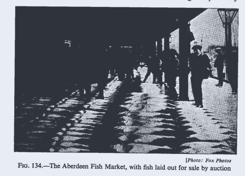 historic fish market