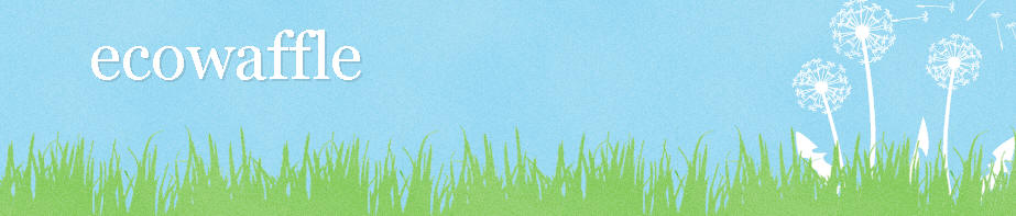 blog on the environment