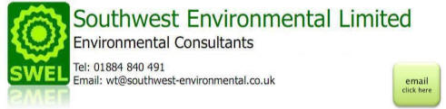 the environment - consultants